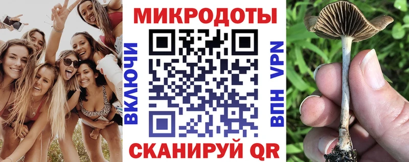 блэк спрут как зайти  наркотики  Белореченск  Галлюциногенные грибы Cubensis 
